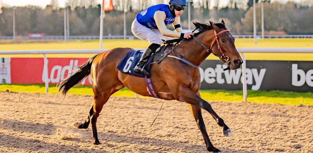 Tributo Wins at Wolverhampton