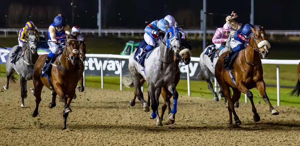 Tributo forces a dead heat on the line