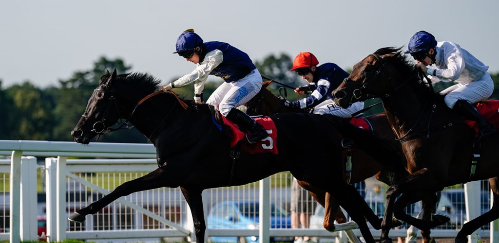 Debora’s Dream celebrates Sandown Success