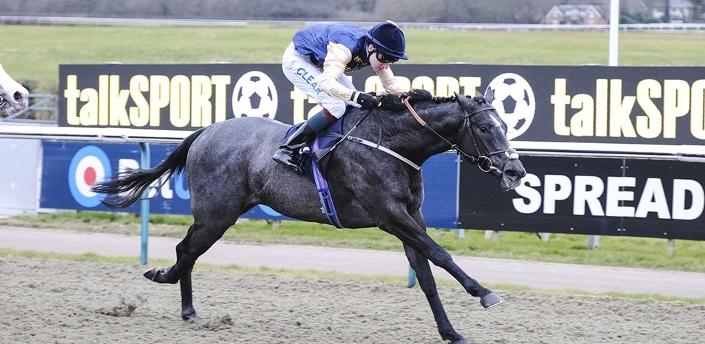 Celtic Champion Scores at Lingfield