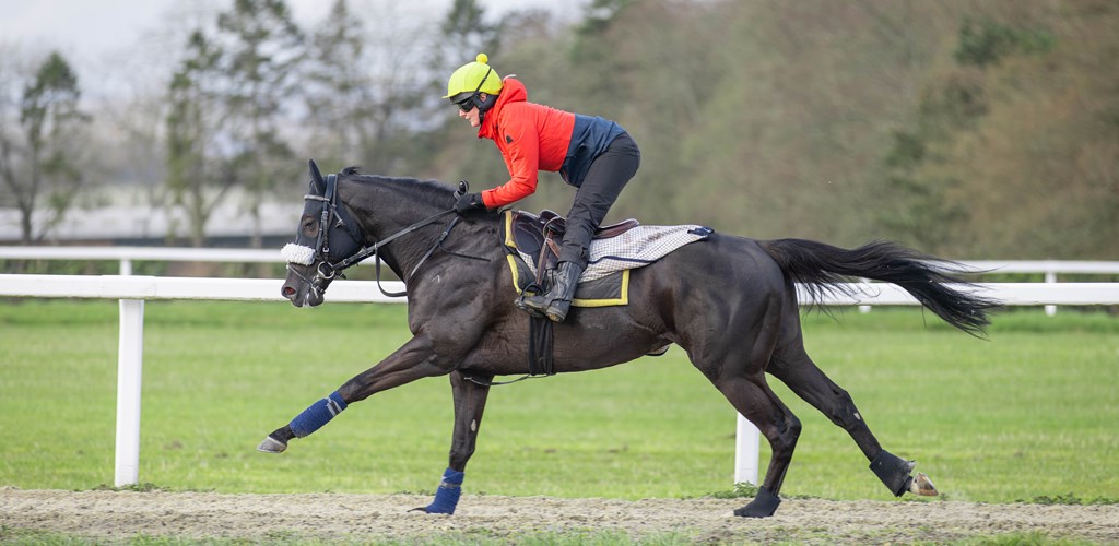 PUROSANGUE AIMS FOR ASCOT