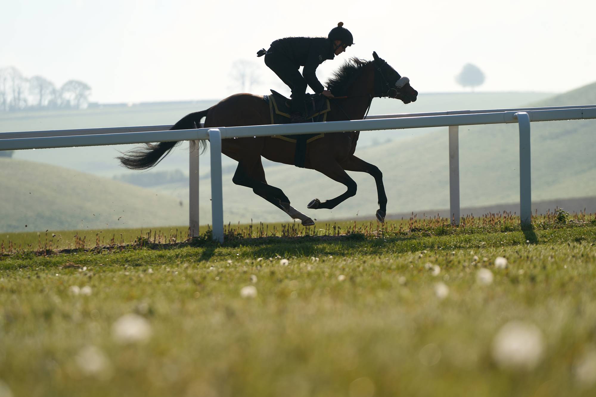 Andrew Balding